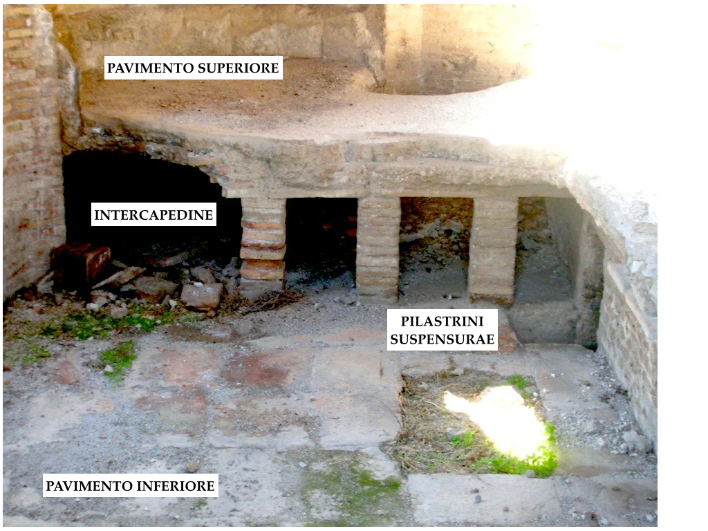  FT SUSPENSURAE ITA.jpg